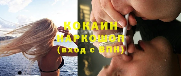 мяу мяу мука Елизово