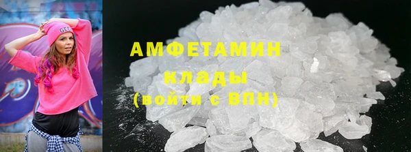 крисы Ельня