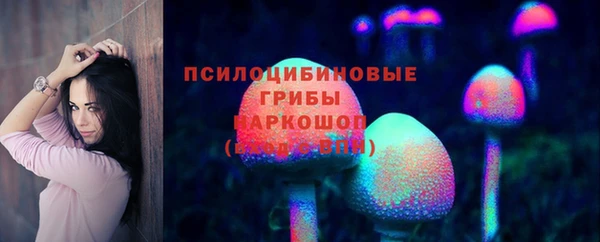мяу мяу мука Елизово