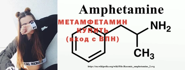 крисы Ельня
