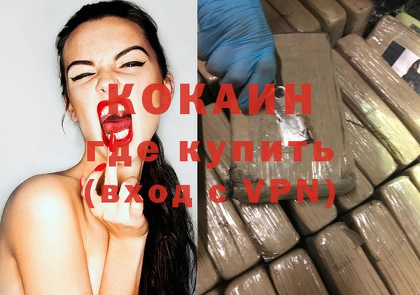 крисы Ельня