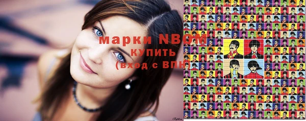 крисы Ельня