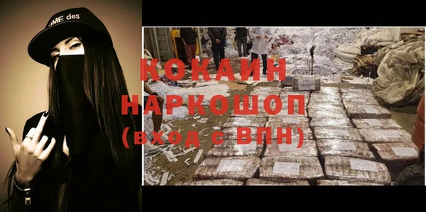 крисы Ельня