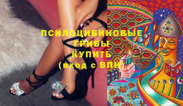 крисы Ельня