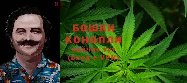 крисы Ельня