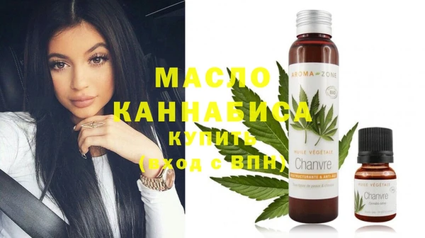 крисы Ельня