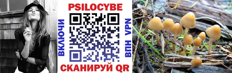 Псилоцибиновые грибы мухоморы Белоозёрский