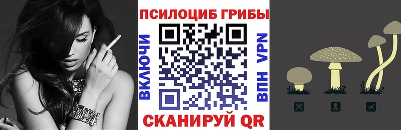 Купить  Белоозёрский  Псилоцибиновые грибы мицелий 