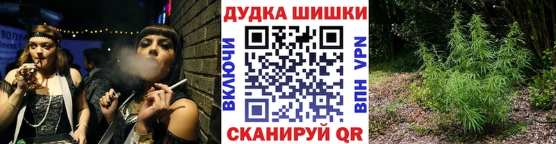 Купить закладки  Белоозёрский  Каннабис план 